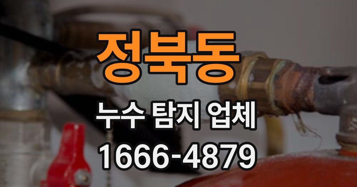 정북동 누수 탐지 업체