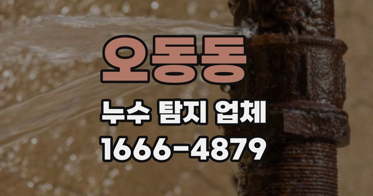 오동동 누수 탐지 업체