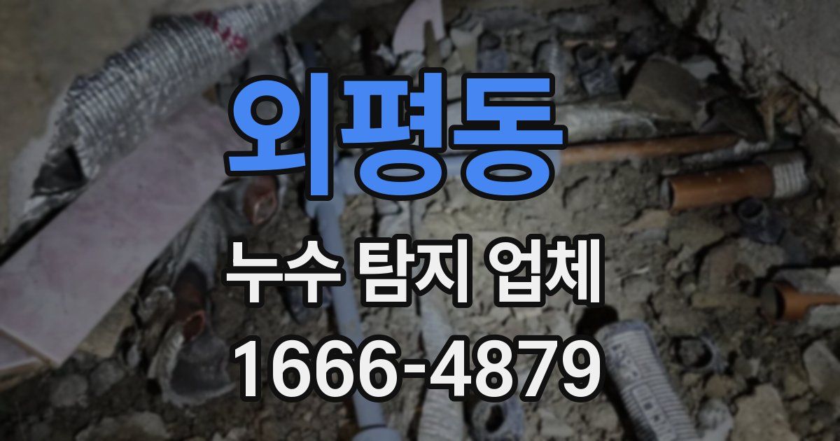 외평동 누수 탐지 업체