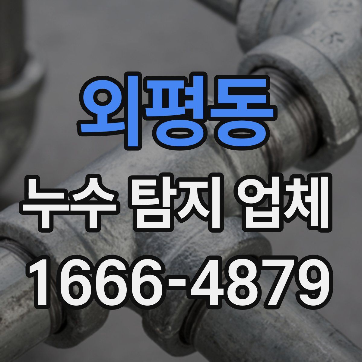 외평동 누수 탐지 업체