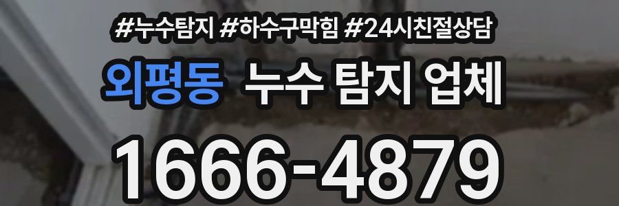 외평동 누수 탐지 업체