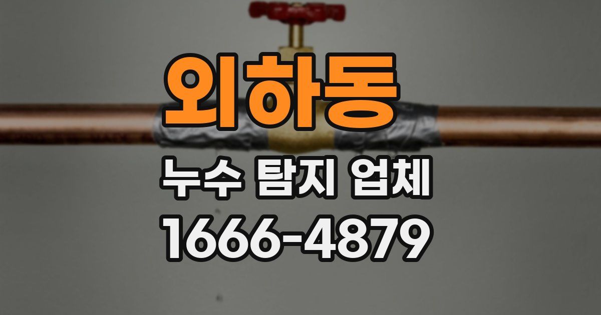 외하동 누수 탐지 업체