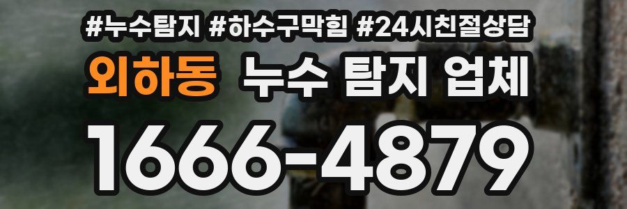 외하동 누수 탐지 업체