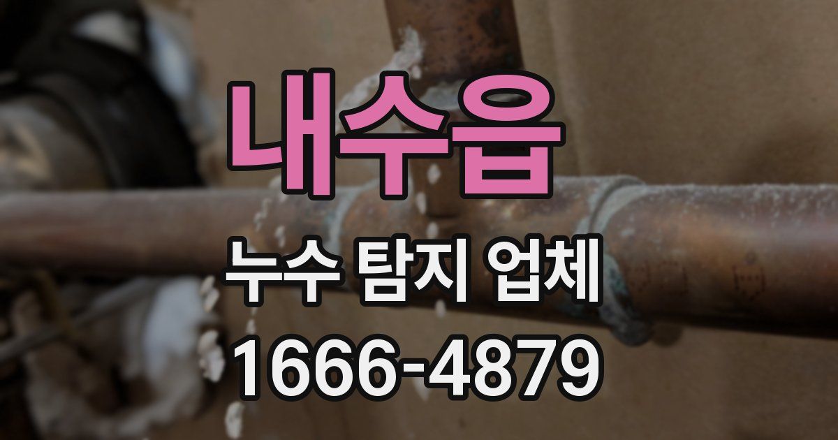 내수읍 누수 탐지 업체