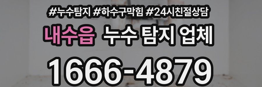 내수읍 누수 탐지 업체