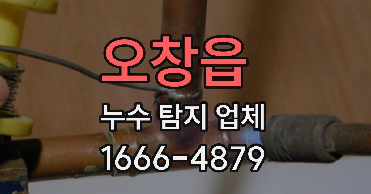 오창읍 누수 탐지 업체