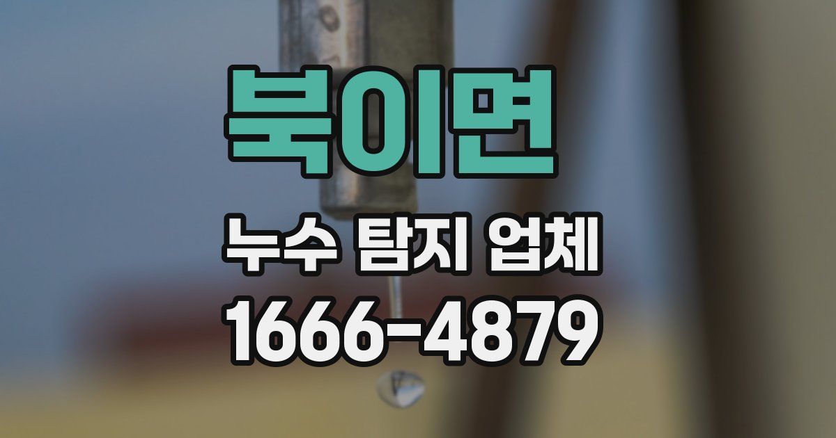 북이면 누수 탐지 업체