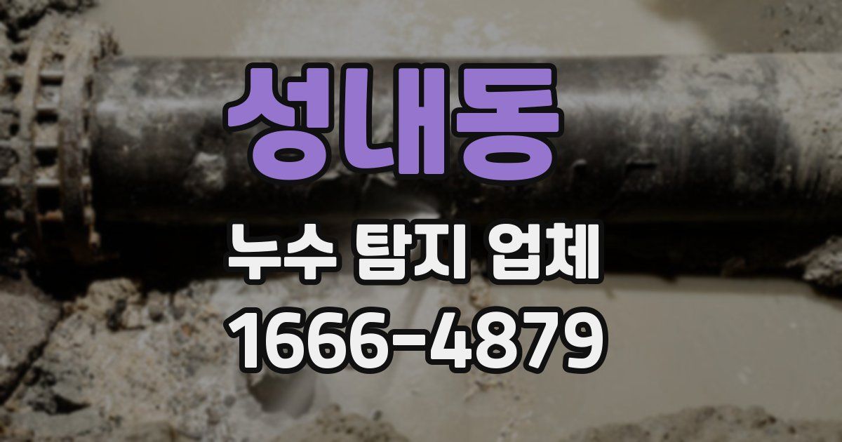 성내동 누수 탐지 업체