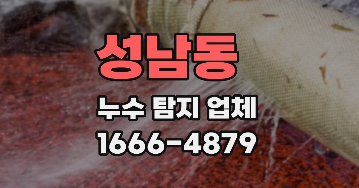 성남동 누수 탐지 업체