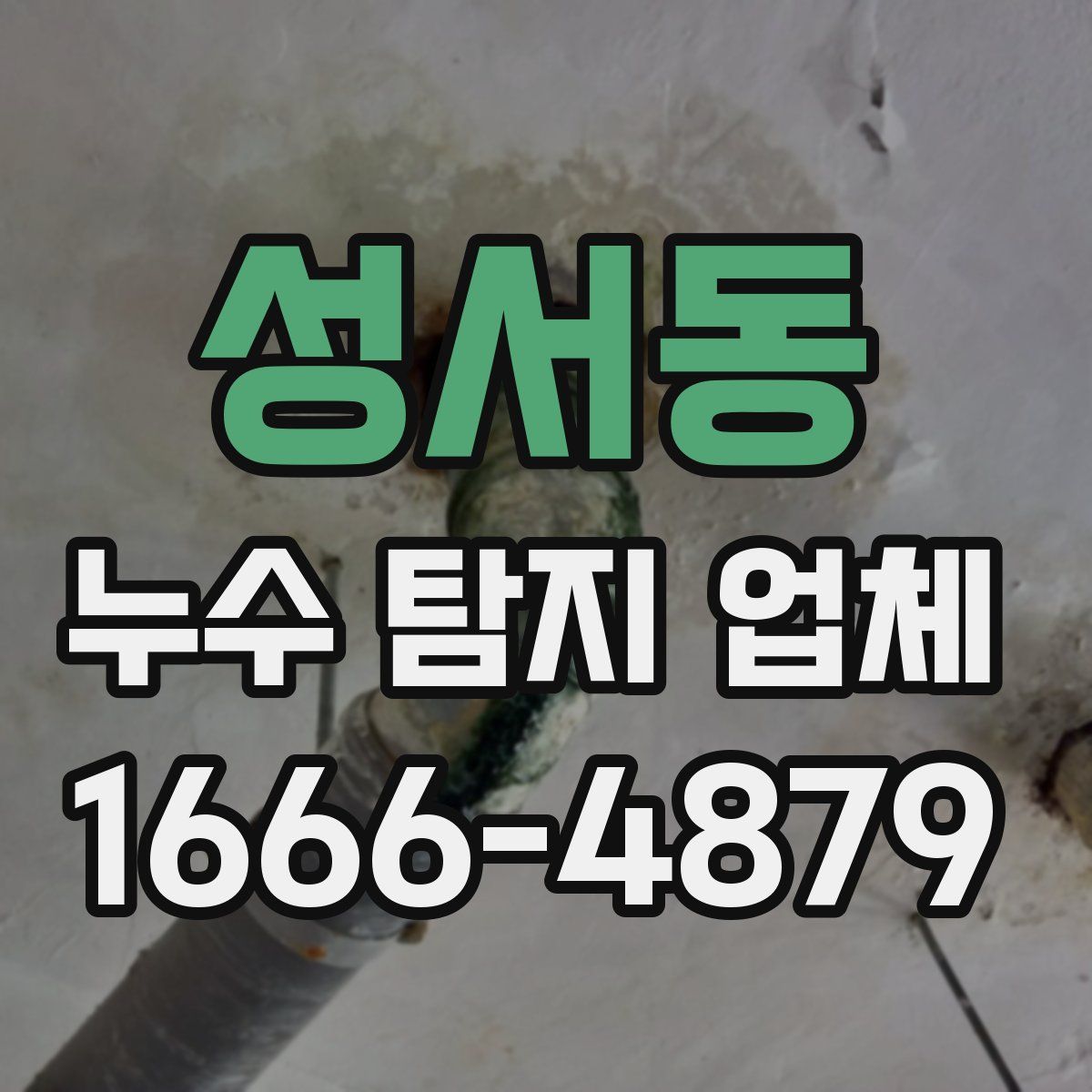 성서동 누수 탐지 업체