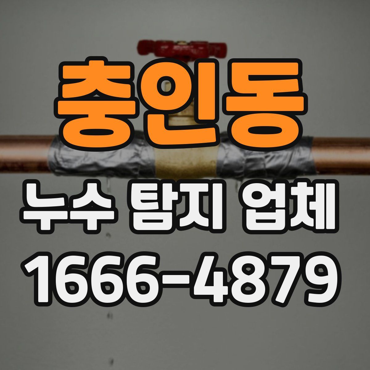 충인동 누수 탐지 업체
