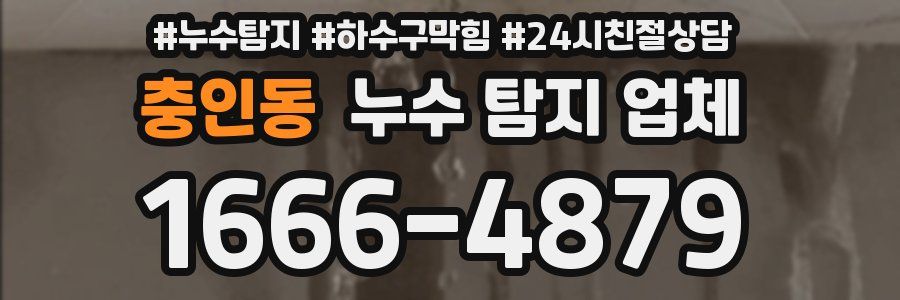 충인동 누수 탐지 업체