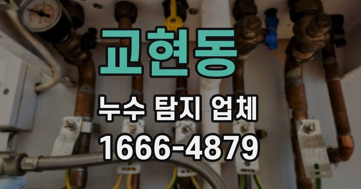 교현동 누수 탐지 업체
