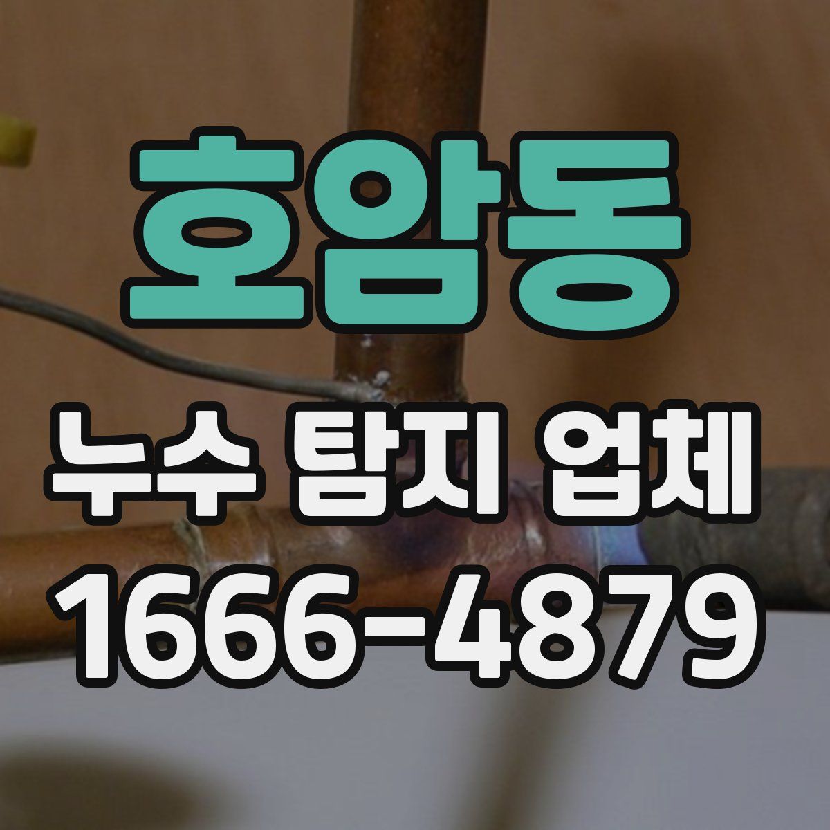 호암동 누수 탐지 업체