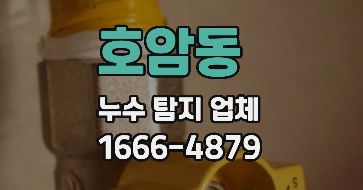 호암동 누수 탐지 업체