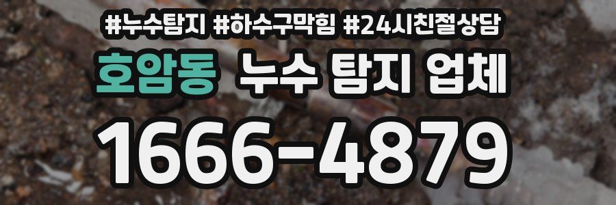 호암동 누수 탐지 업체