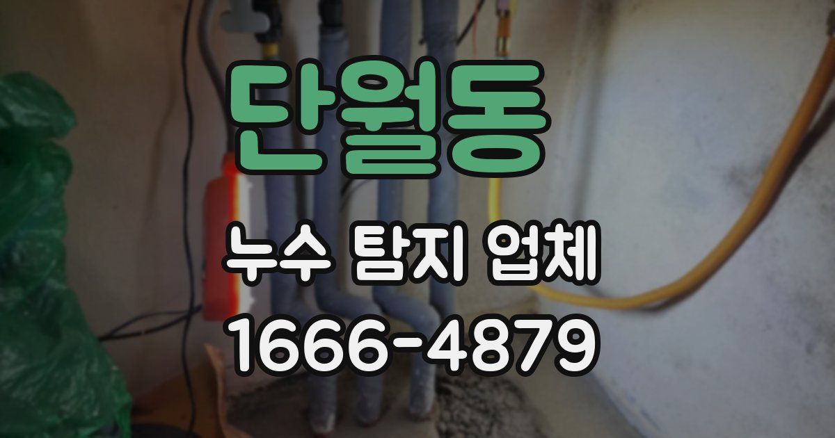 단월동 누수 탐지 업체