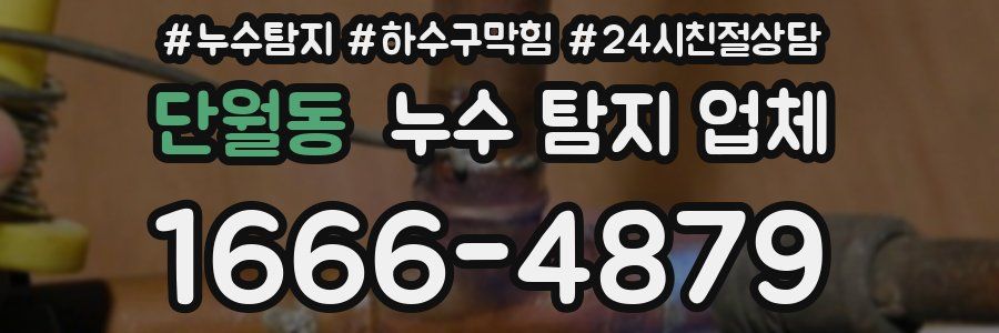 단월동 누수 탐지 업체