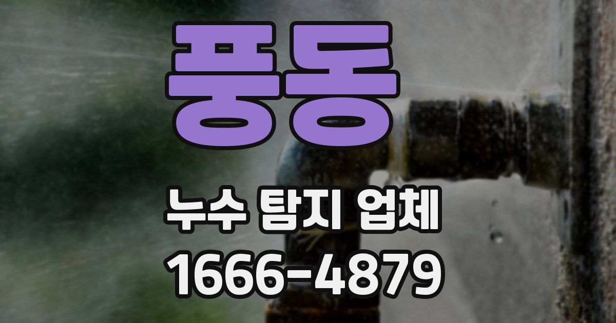 풍동 누수 탐지 업체