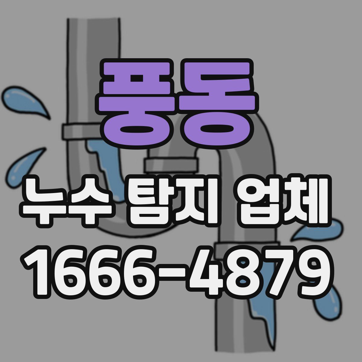 풍동 누수 탐지 업체