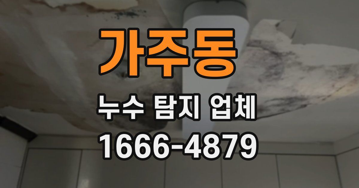 가주동 누수 탐지 업체