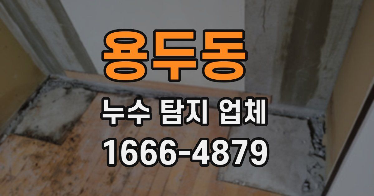 용두동 누수 탐지 업체
