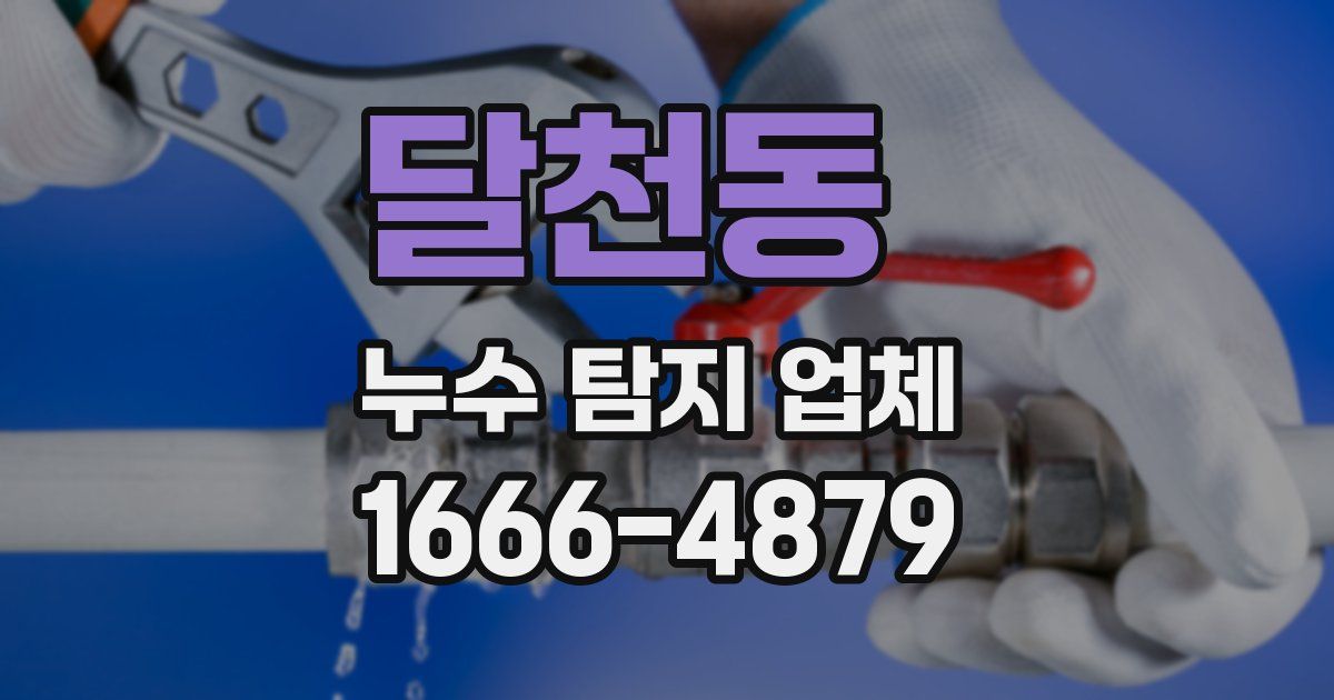 달천동 누수 탐지 업체