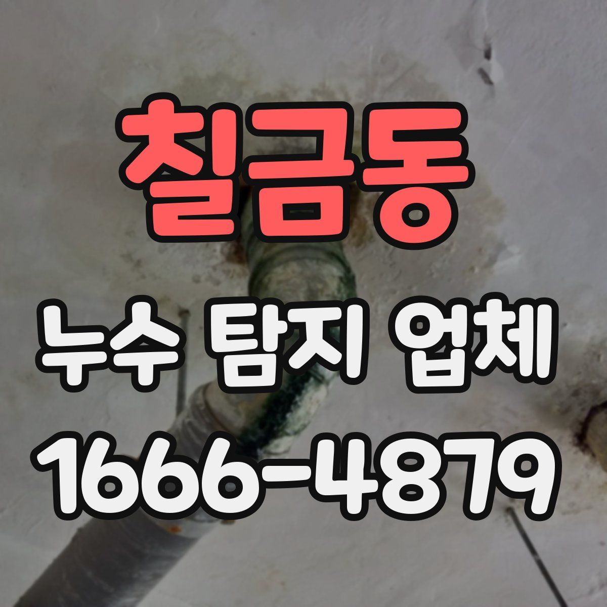 칠금동 누수 탐지 업체