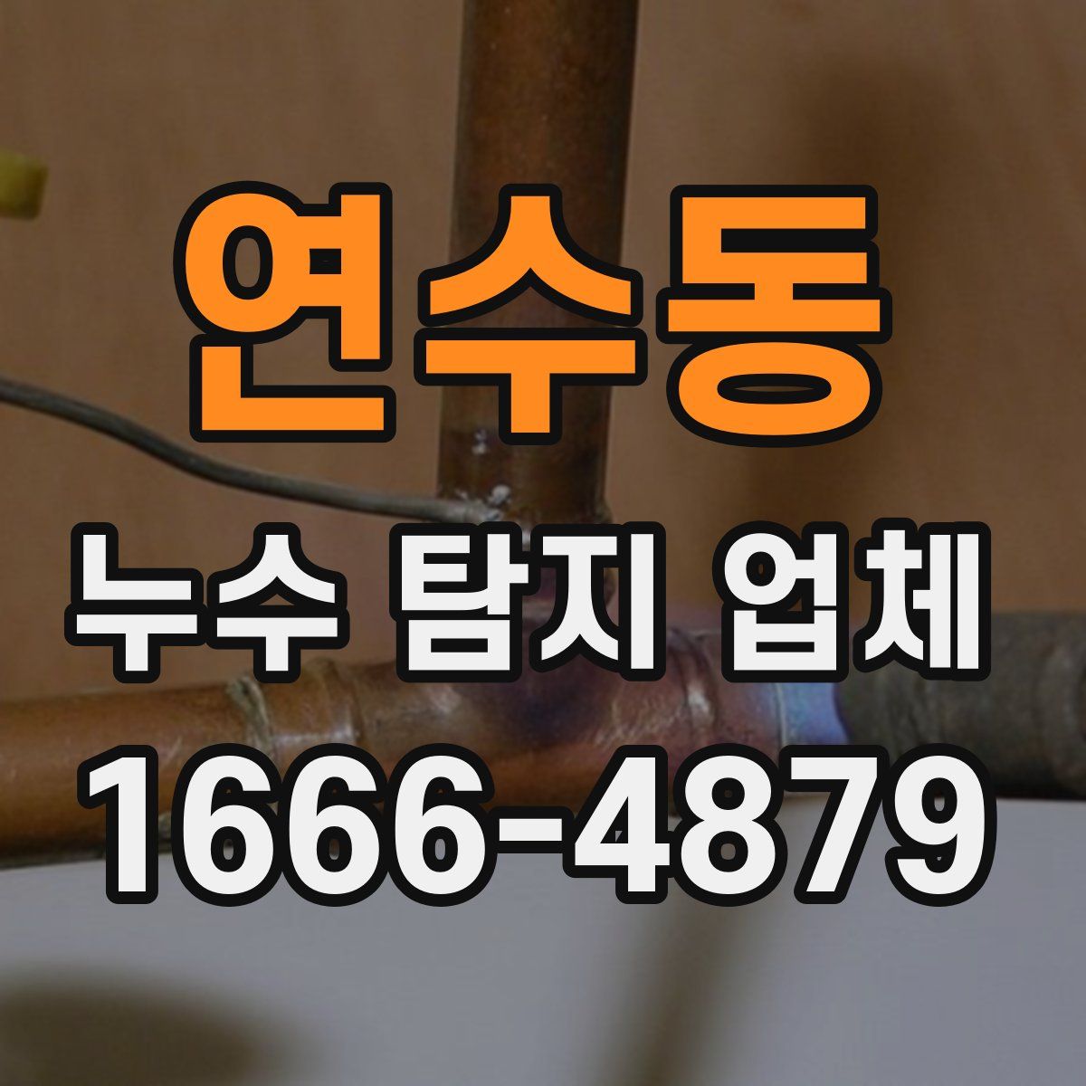 연수동 누수 탐지 업체