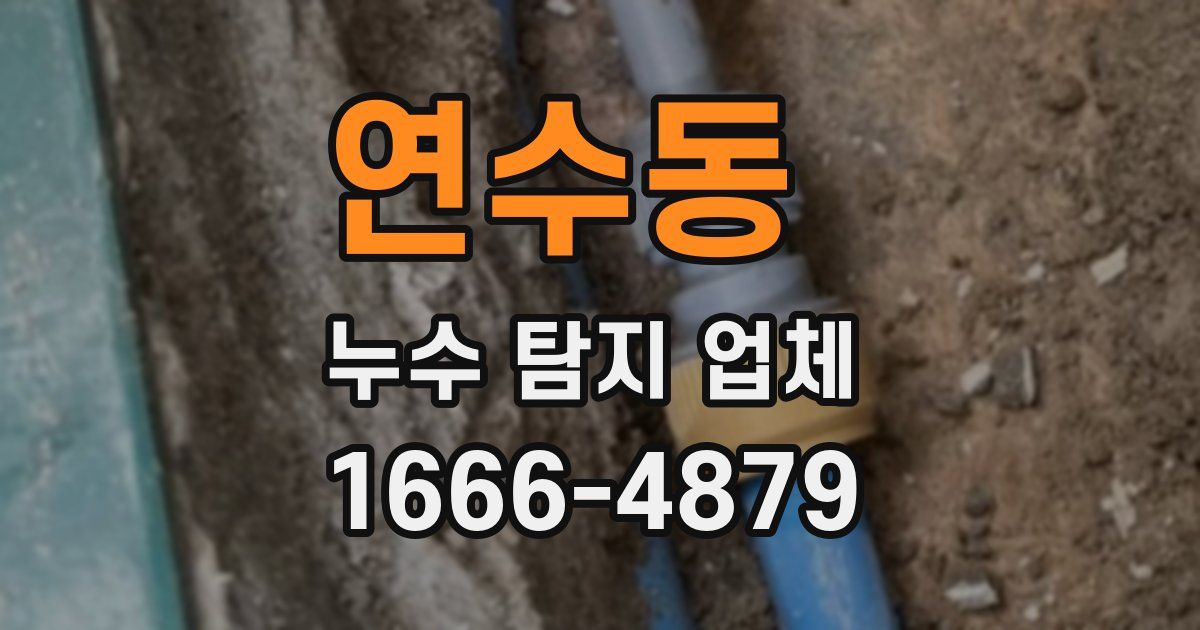 연수동 누수 탐지 업체