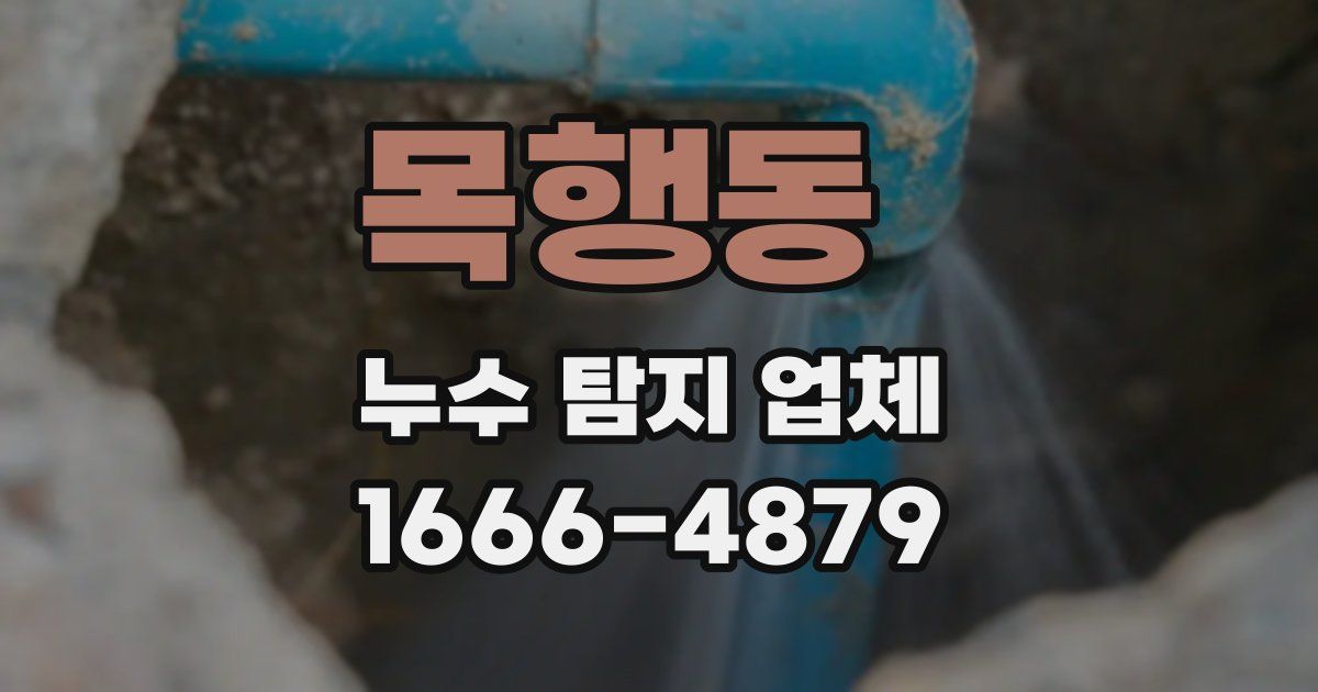 목행동 누수 탐지 업체