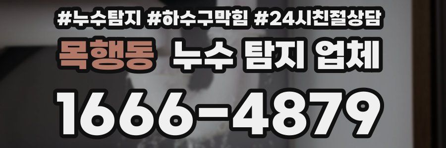 목행동 누수 탐지 업체