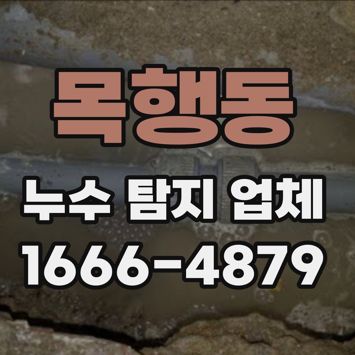 목행동 누수 탐지 업체