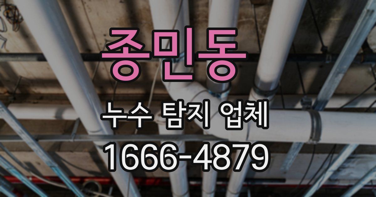 종민동 누수 탐지 업체
