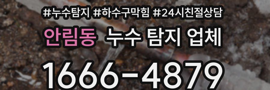 안림동 누수 탐지 업체