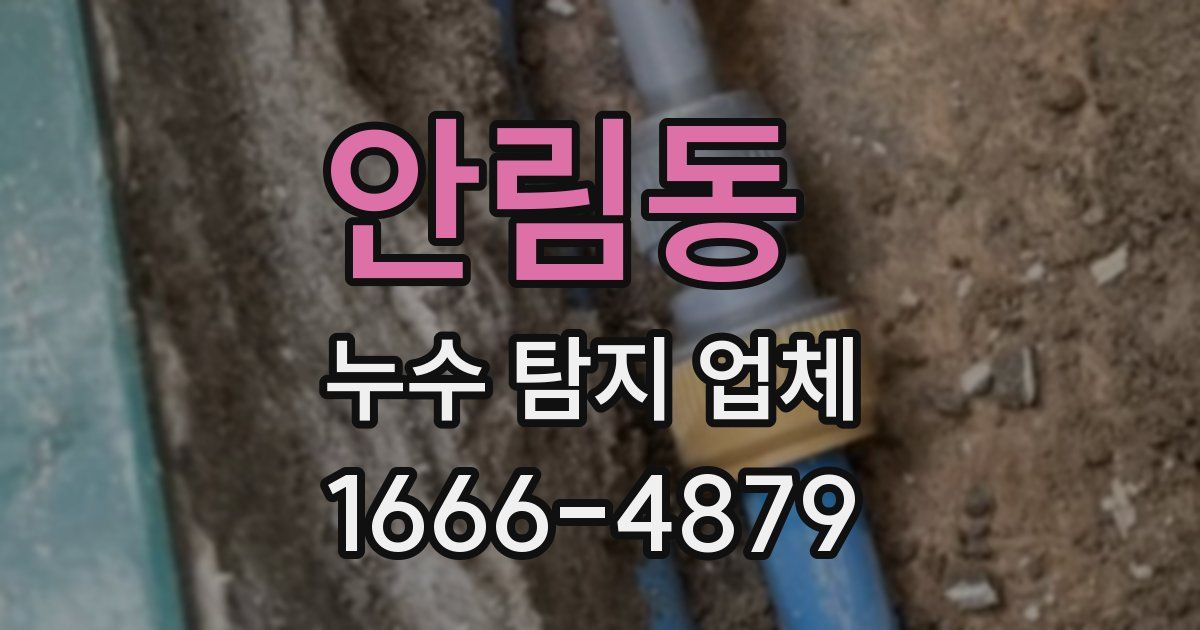 안림동 누수 탐지 업체