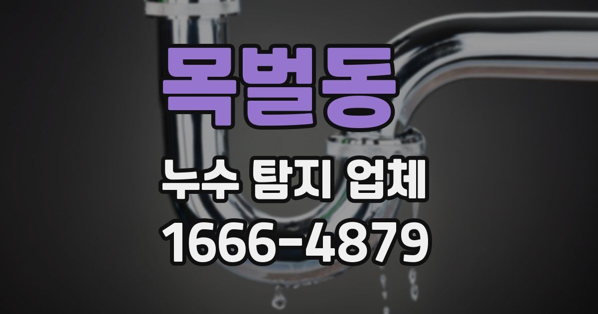 목벌동 누수 탐지 업체