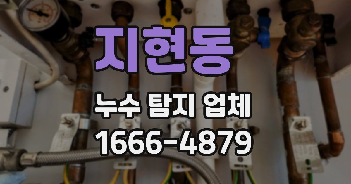지현동 누수 탐지 업체