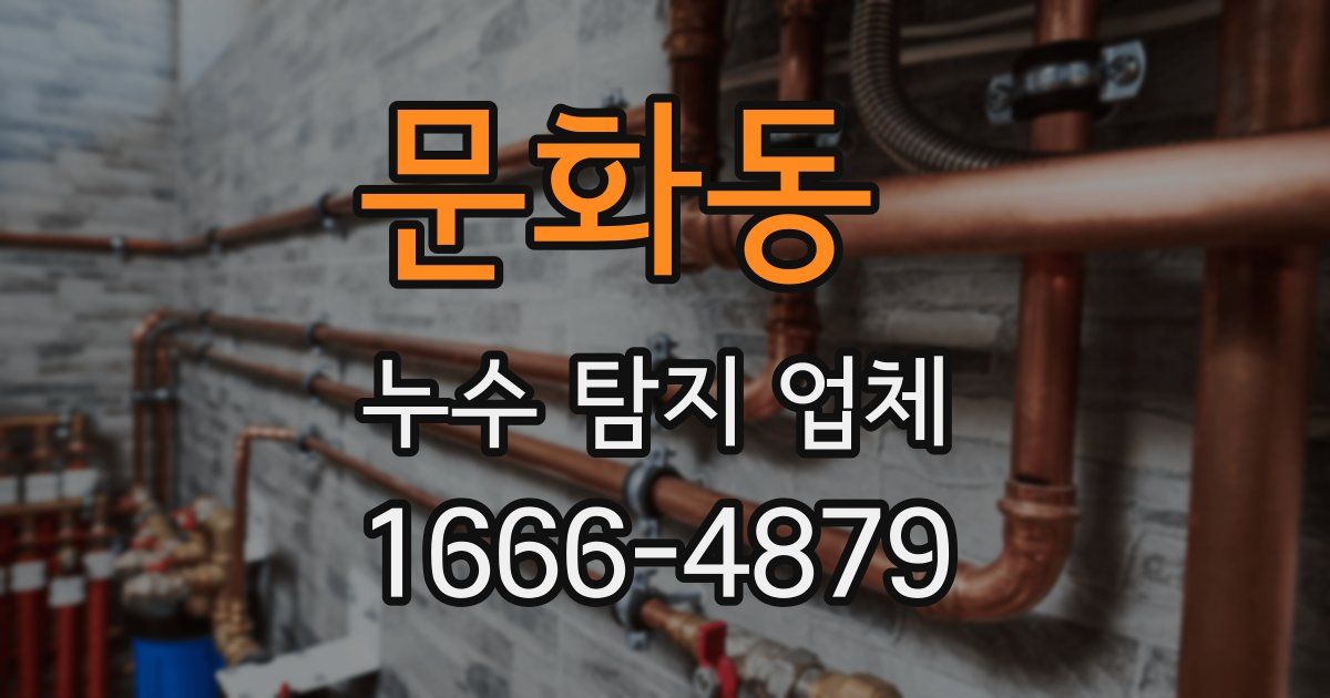 문화동 누수 탐지 업체