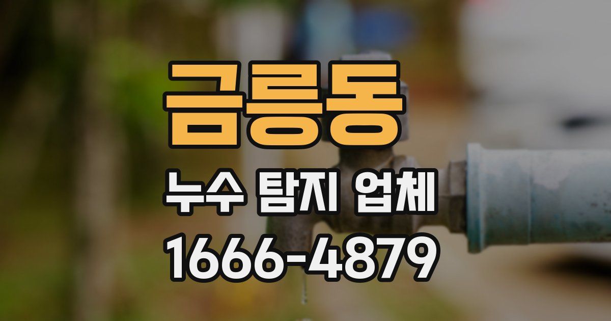 금릉동 누수 탐지 업체