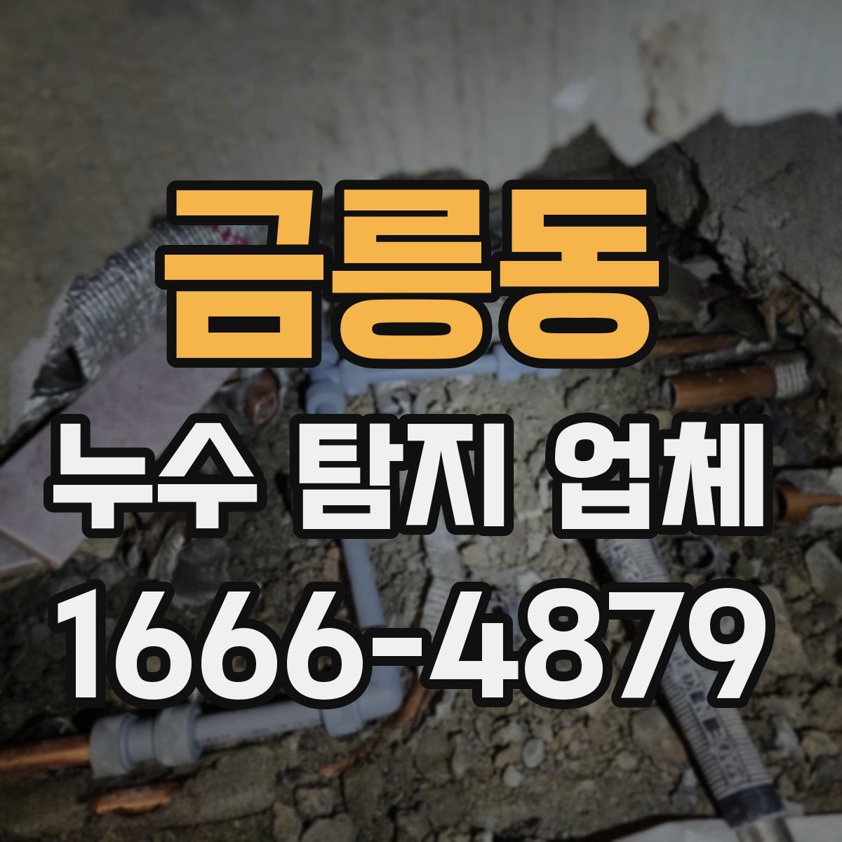 금릉동 누수 탐지 업체