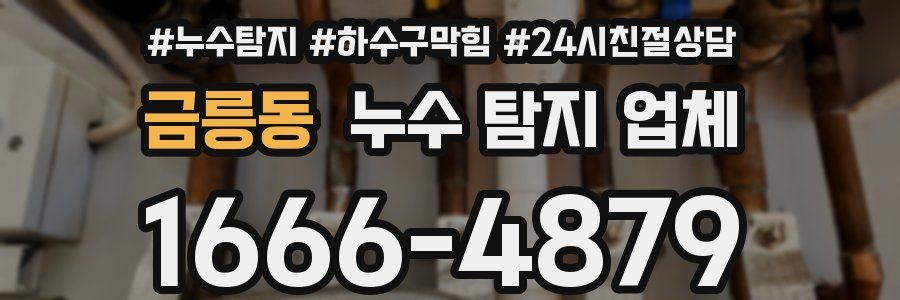 금릉동 누수 탐지 업체