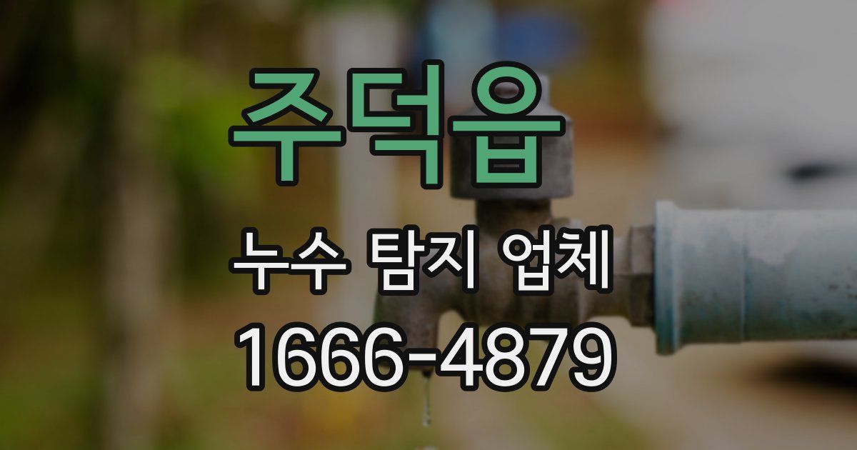 주덕읍 누수 탐지 업체
