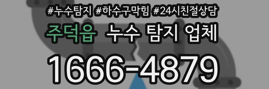 주덕읍 누수 탐지 업체
