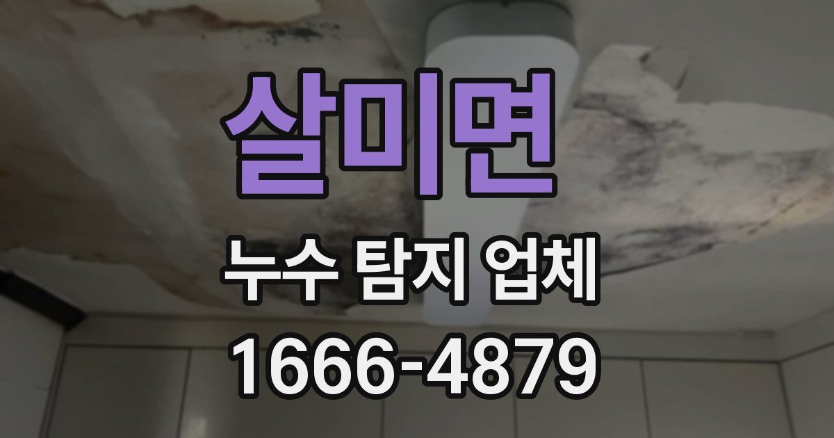 살미면 누수 탐지 업체