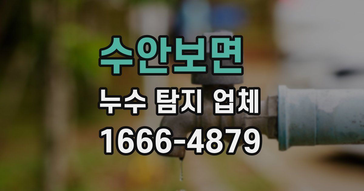 수안보면 누수 탐지 업체