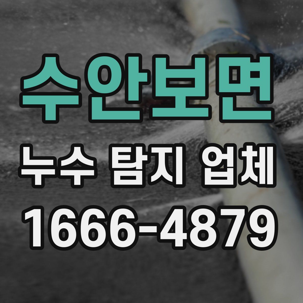 수안보면 누수 탐지 업체