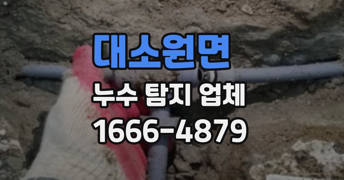대소원면 누수 탐지 업체