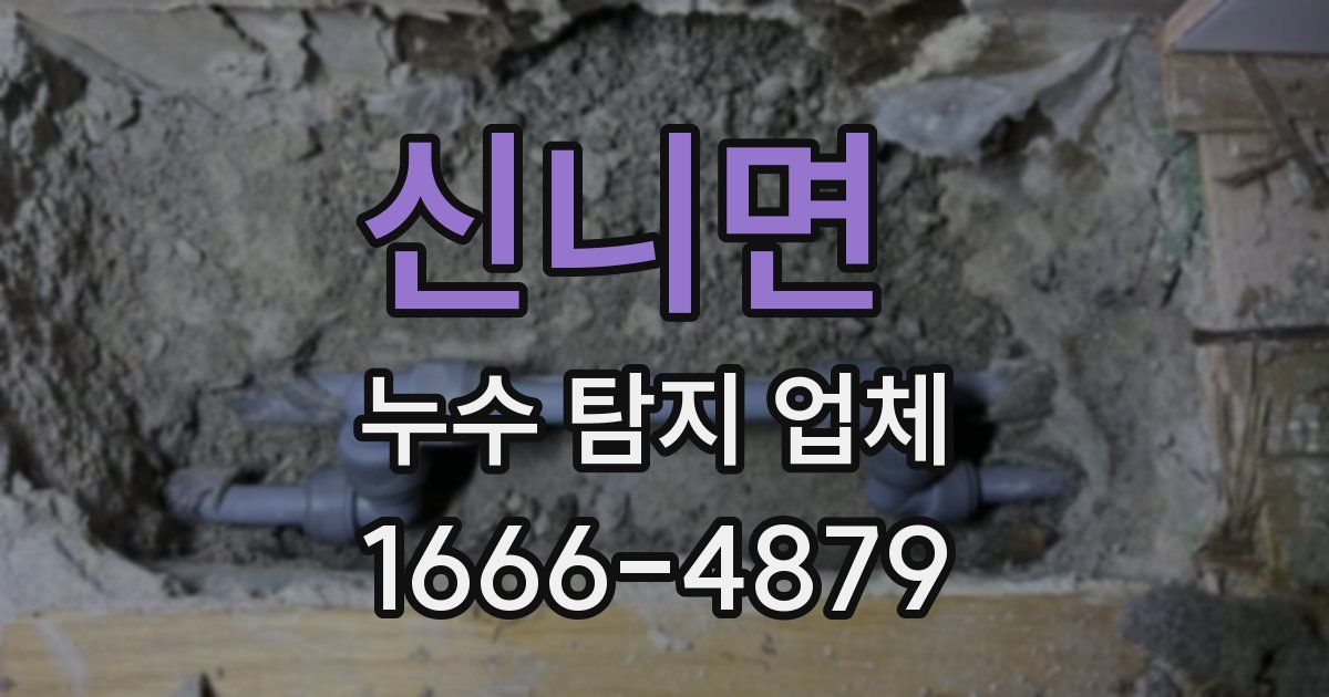 신니면 누수 탐지 업체