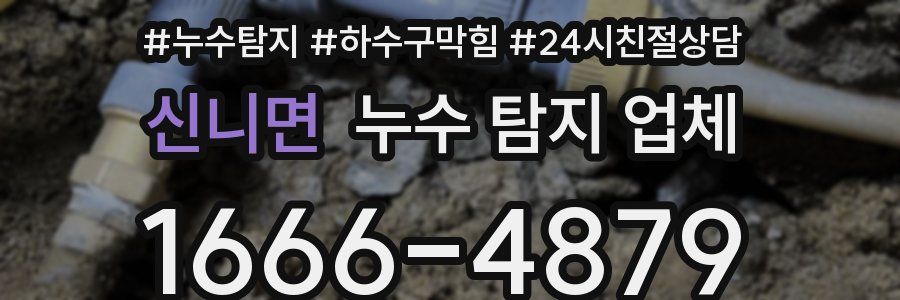 신니면 누수 탐지 업체